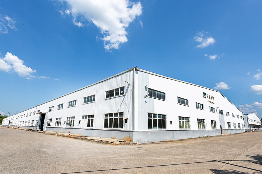 Company Real Picture